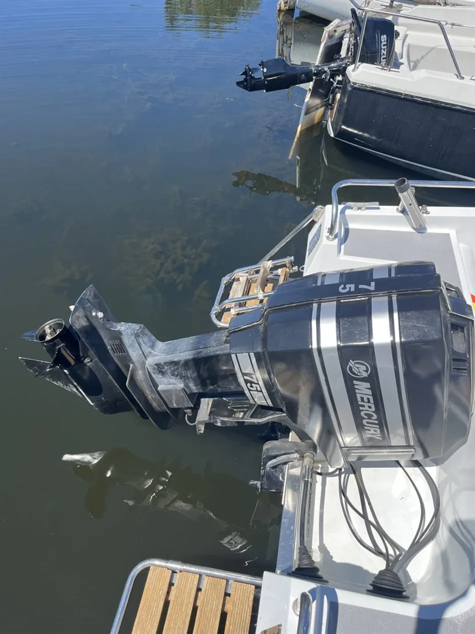 Moteur Mercury 75 cv du bateau P'tit Poney