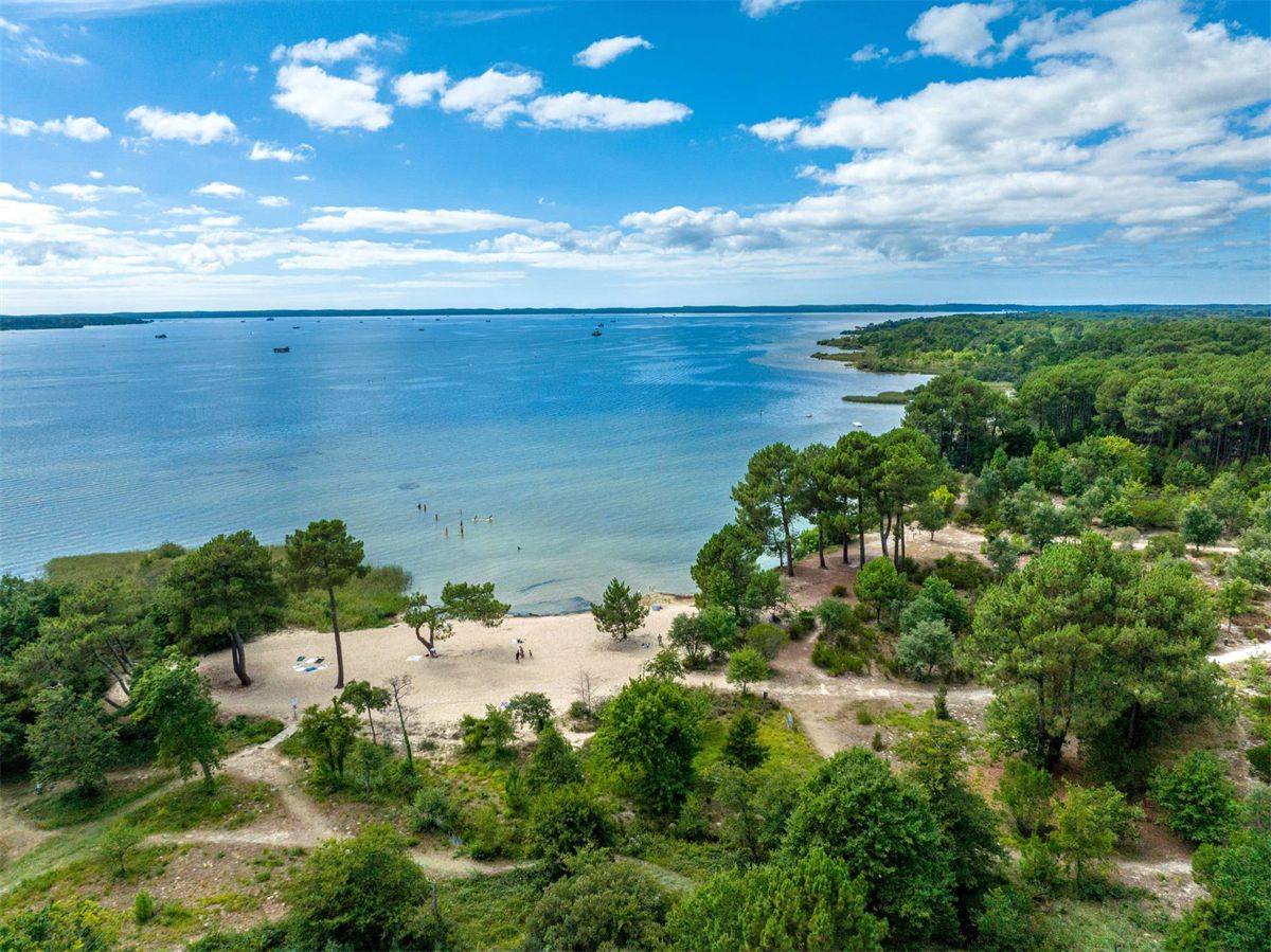 Vue aérienne du lac de Biscarrosse-Parentis : plage de sable, pins landais et étendue d'eau