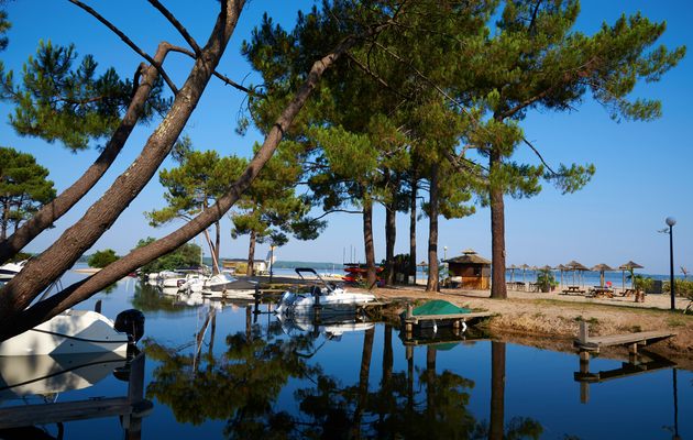 Bateaux amarrés au port du lac, sous les pins